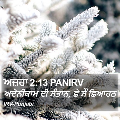 ਅਜ਼ਰਾ 2:13 PANIRV Bible Verse Image