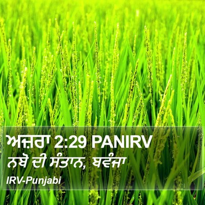 ਅਜ਼ਰਾ 2:29 PANIRV Bible Verse Image