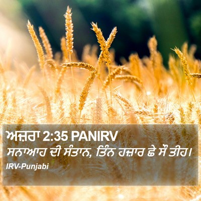 ਅਜ਼ਰਾ 2:35 PANIRV Bible Verse Image