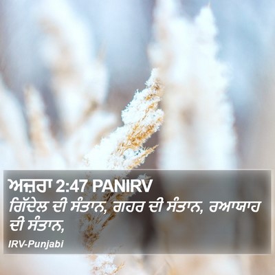 ਅਜ਼ਰਾ 2:47 PANIRV Bible Verse Image