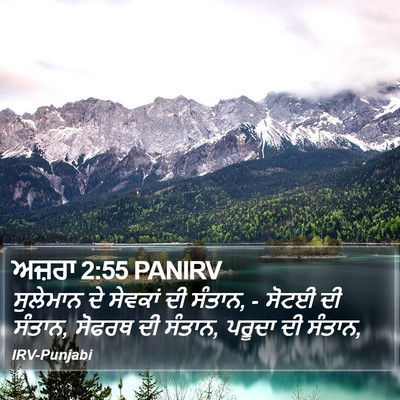 ਅਜ਼ਰਾ 2:55 PANIRV Bible Verse Image
