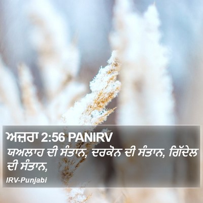 ਅਜ਼ਰਾ 2:56 PANIRV Bible Verse Image