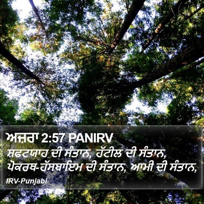 ਅਜ਼ਰਾ 2:57 PANIRV Bible Verse Image