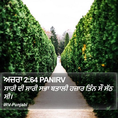 ਅਜ਼ਰਾ 2:64 PANIRV Bible Verse Image