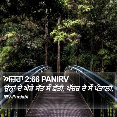 ਅਜ਼ਰਾ 2:66 PANIRV Bible Verse Image