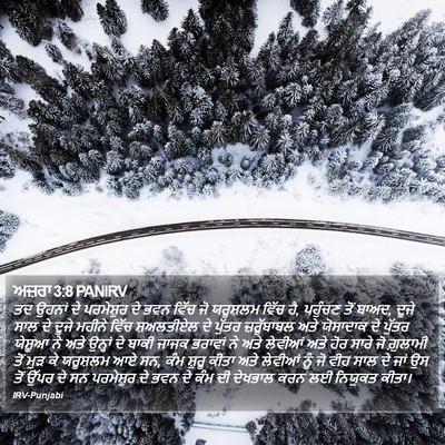 ਅਜ਼ਰਾ 3:8 PANIRV Bible Verse Image