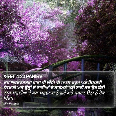 ਅਜ਼ਰਾ 4:23 PANIRV Bible Verse Image