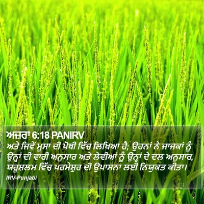 ਅਜ਼ਰਾ 6:18 PANIRV Bible Verse Image
