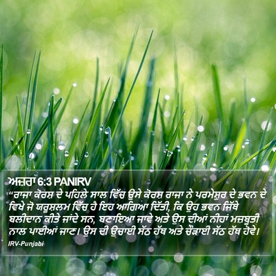 ਅਜ਼ਰਾ 6:3 PANIRV Bible Verse Image