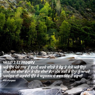 ਅਜ਼ਰਾ 7:17 PANIRV Bible Verse Image