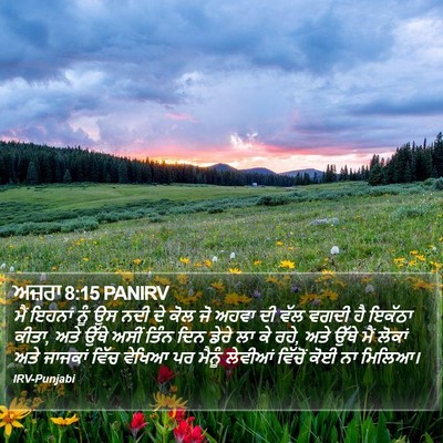 ਅਜ਼ਰਾ 8:15 PANIRV Bible Verse Image