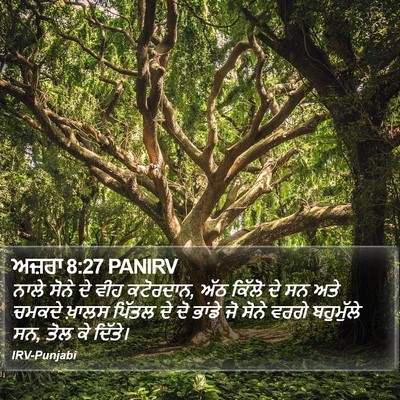 ਅਜ਼ਰਾ 8:27 PANIRV Bible Verse Image