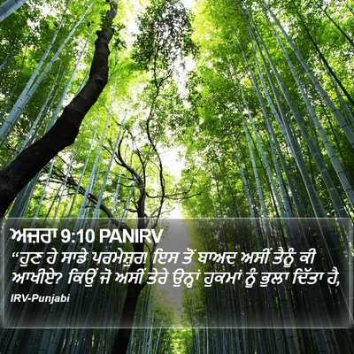 ਅਜ਼ਰਾ 9:10 PANIRV Bible Verse Image