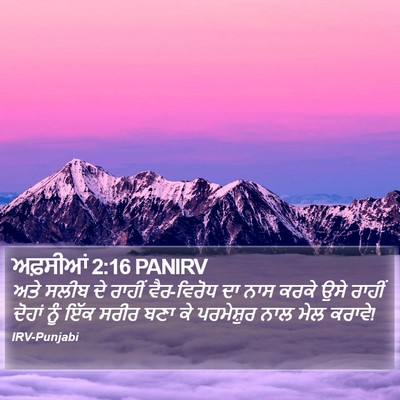 ਅਫ਼ਸੀਆਂ 2:16 PANIRV Bible Verse Image