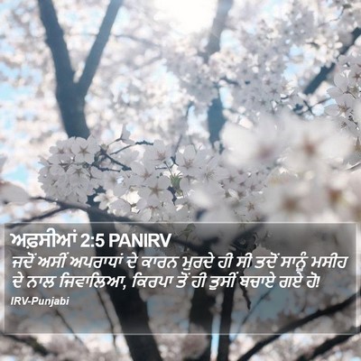 ਅਫ਼ਸੀਆਂ 2:5 PANIRV Bible Verse Image