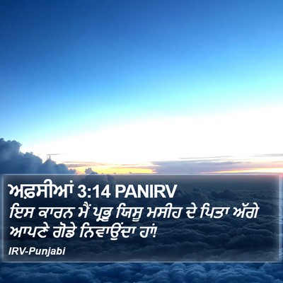 ਅਫ਼ਸੀਆਂ 3:14 PANIRV Bible Verse Image