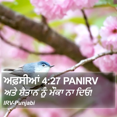 ਅਫ਼ਸੀਆਂ 4:27 PANIRV Bible Verse Image