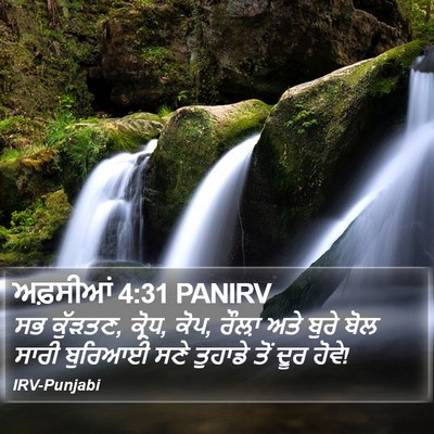 ਅਫ਼ਸੀਆਂ 4:31 PANIRV Bible Verse Image