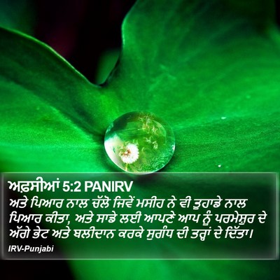 ਅਫ਼ਸੀਆਂ 5:2 PANIRV Bible Verse Image