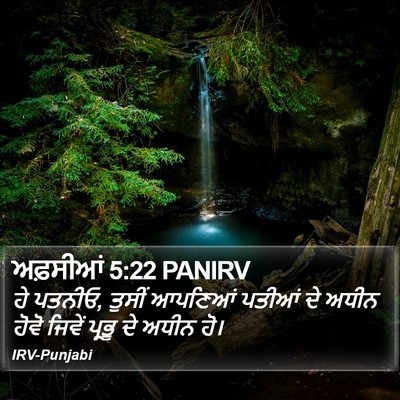 ਅਫ਼ਸੀਆਂ 5:22 PANIRV Bible Verse Image