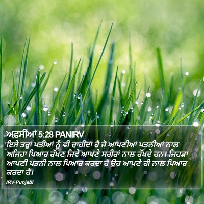 ਅਫ਼ਸੀਆਂ 5:28 PANIRV Bible Verse Image