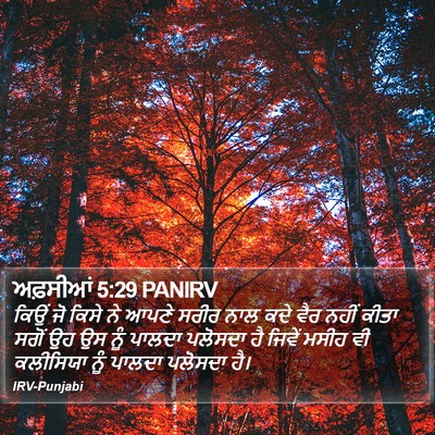 ਅਫ਼ਸੀਆਂ 5:29 PANIRV Bible Verse Image