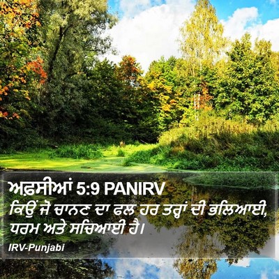 ਅਫ਼ਸੀਆਂ 5:9 PANIRV Bible Verse Image