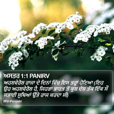 ਅਸਤਰ 1:1 PANIRV Bible Verse Image