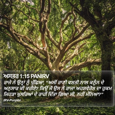 ਅਸਤਰ 1:15 PANIRV Bible Verse Image