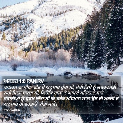 ਅਸਤਰ 1:8 PANIRV Bible Verse Image