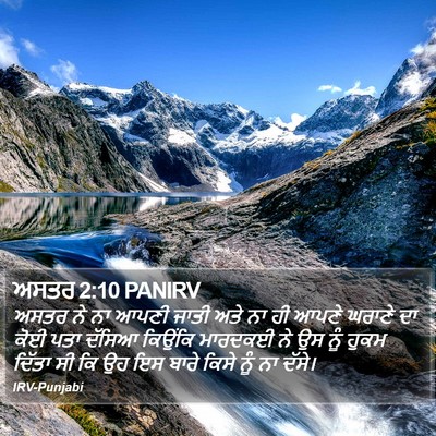 ਅਸਤਰ 2:10 PANIRV Bible Verse Image