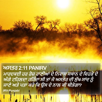 ਅਸਤਰ 2:11 PANIRV Bible Verse Image