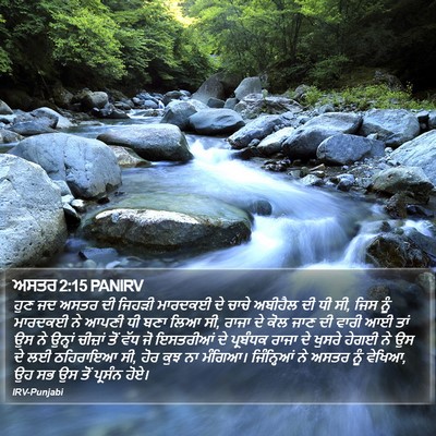 ਅਸਤਰ 2:15 PANIRV Bible Verse Image