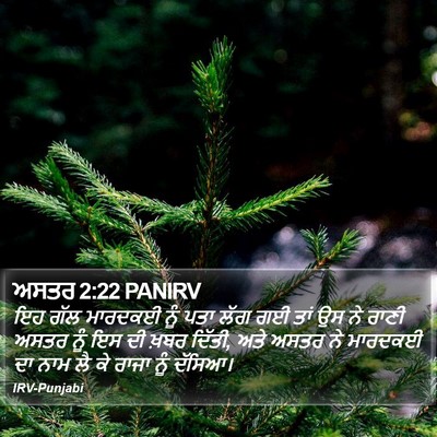 ਅਸਤਰ 2:22 PANIRV Bible Verse Image
