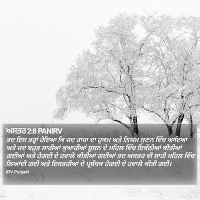 ਅਸਤਰ 2:8 PANIRV Bible Verse Image