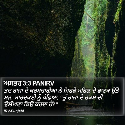 ਅਸਤਰ 3:3 PANIRV Bible Verse Image