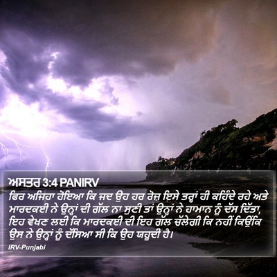 ਅਸਤਰ 3:4 PANIRV Bible Verse Image