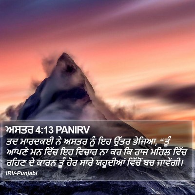 ਅਸਤਰ 4:13 PANIRV Bible Verse Image