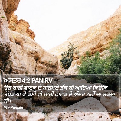 ਅਸਤਰ 4:2 PANIRV Bible Verse Image
