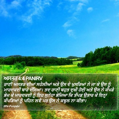 ਅਸਤਰ 4:4 PANIRV Bible Verse Image