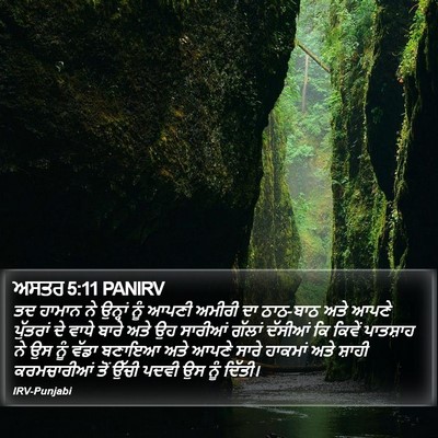 ਅਸਤਰ 5:11 PANIRV Bible Verse Image