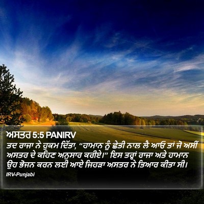 ਅਸਤਰ 5:5 PANIRV Bible Verse Image