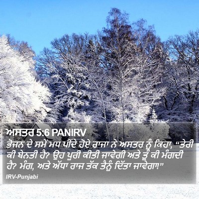 ਅਸਤਰ 5:6 PANIRV Bible Verse Image