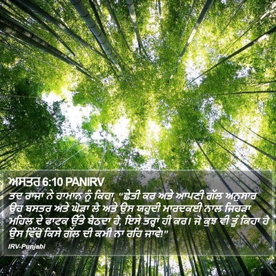 ਅਸਤਰ 6:10 PANIRV Bible Verse Image