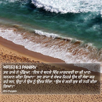 ਅਸਤਰ 6:3 PANIRV Bible Verse Image