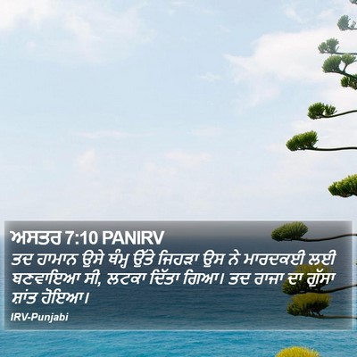 ਅਸਤਰ 7:10 PANIRV Bible Verse Image