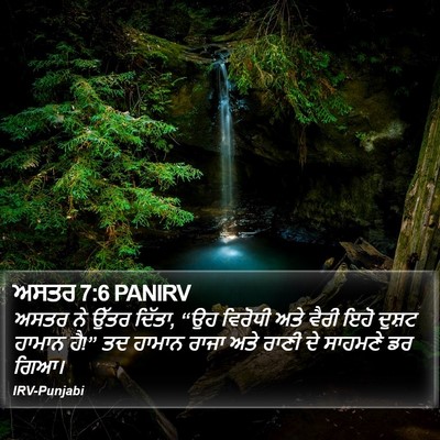 ਅਸਤਰ 7:6 PANIRV Bible Verse Image
