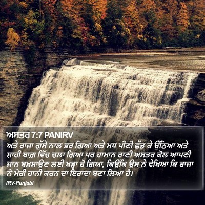 ਅਸਤਰ 7:7 PANIRV Bible Verse Image