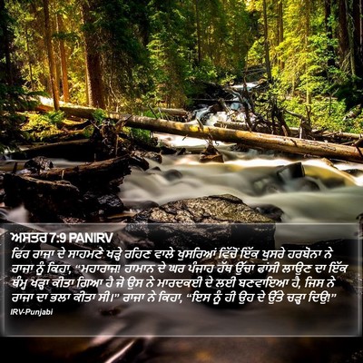 ਅਸਤਰ 7:9 PANIRV Bible Verse Image