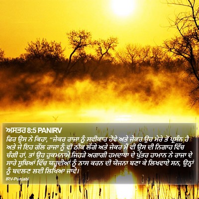ਅਸਤਰ 8:5 PANIRV Bible Verse Image